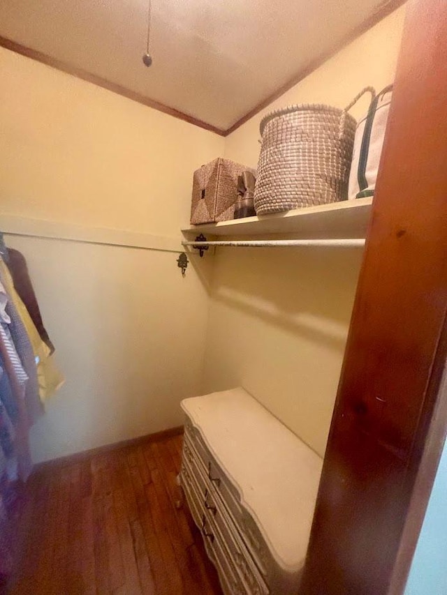 spacious closet featuring dark wood finished floors