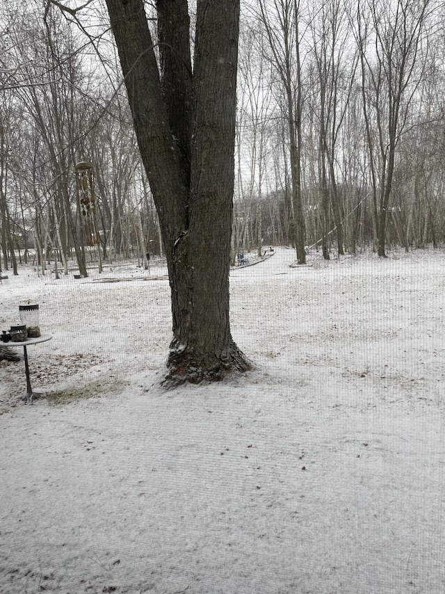 view of yard layered in snow