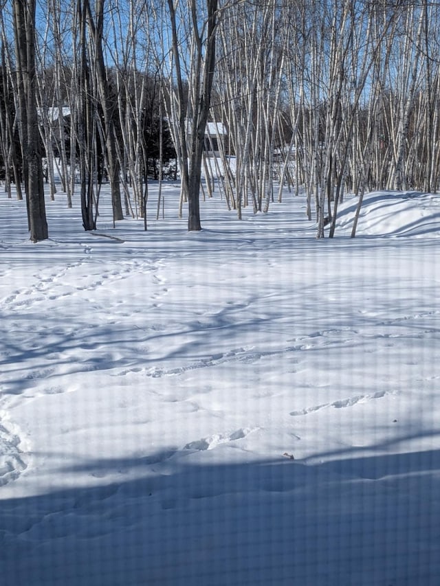 view of snowy yard