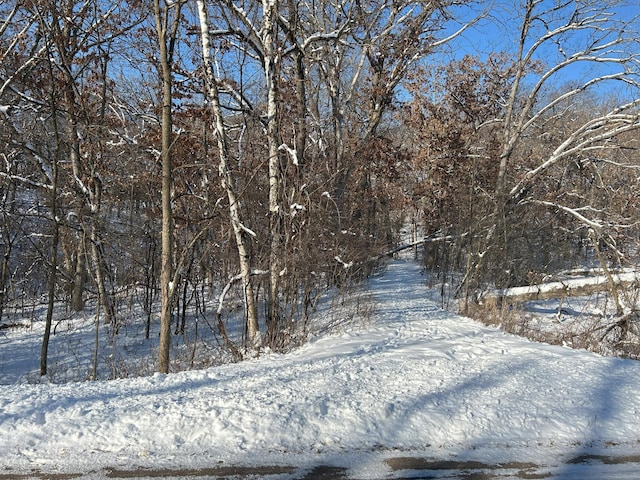 XXX Oaks Trail, Houlton WI, 54082 land for sale