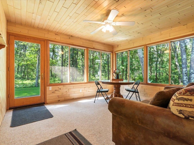 3630 Independence Rd, Brainerd, MN 56401 - photo 38