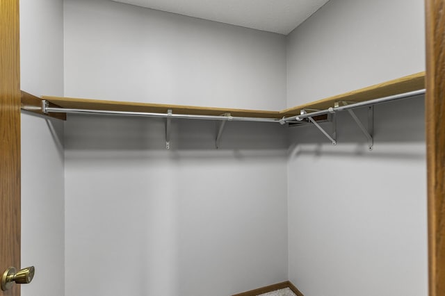 view of walk in closet