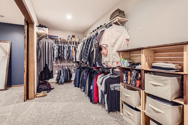 spacious closet featuring carpet