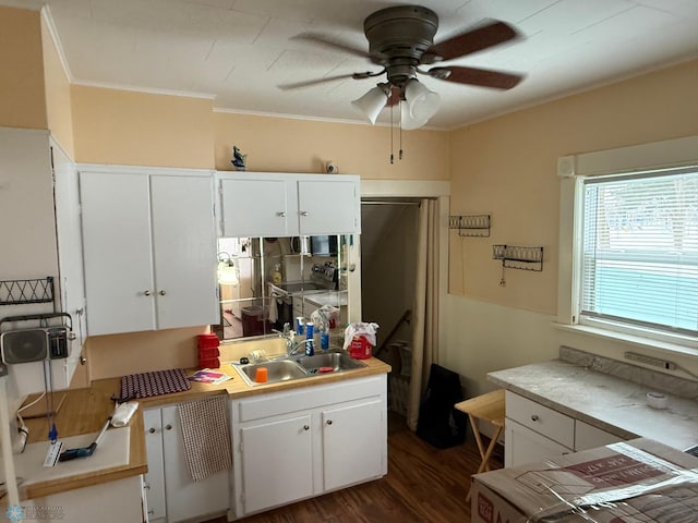 kitchen featuring white cabinetry, sink, and dark hardwood / wood-style floors