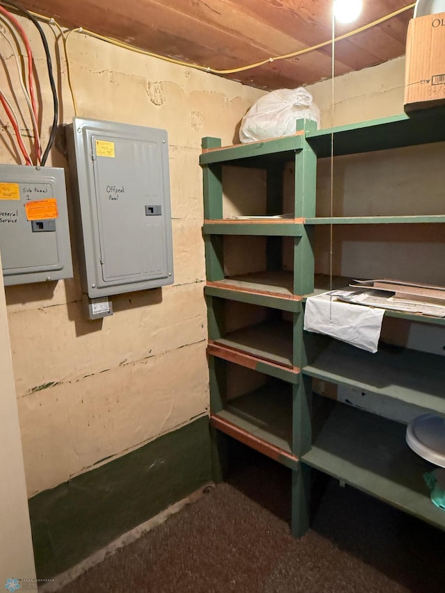 storage room featuring electric panel