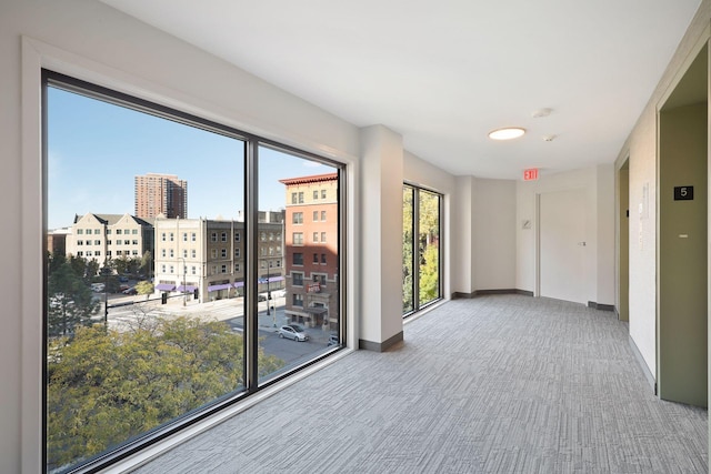 hall featuring carpet flooring and a wealth of natural light