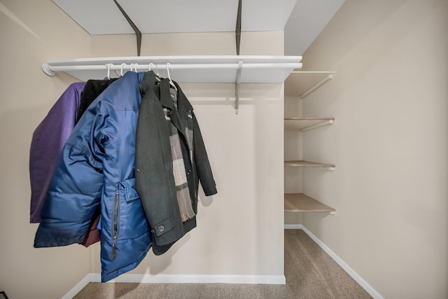 walk in closet featuring carpet