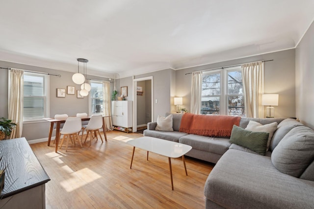 living room featuring crown molding and light wood-type flooring