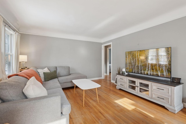 living room featuring light wood-type flooring