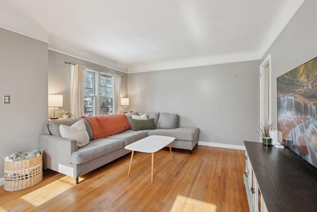 living room featuring light wood-type flooring