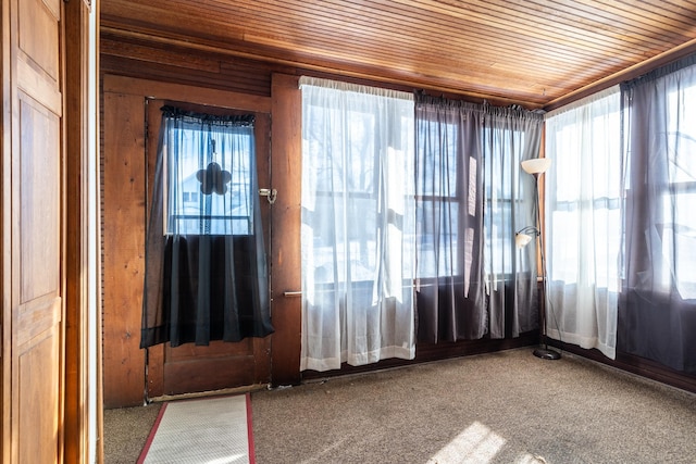 109 3rd St E, Ada, MN 56510 - doorway with wood ceiling, carpet floors, and wood walls