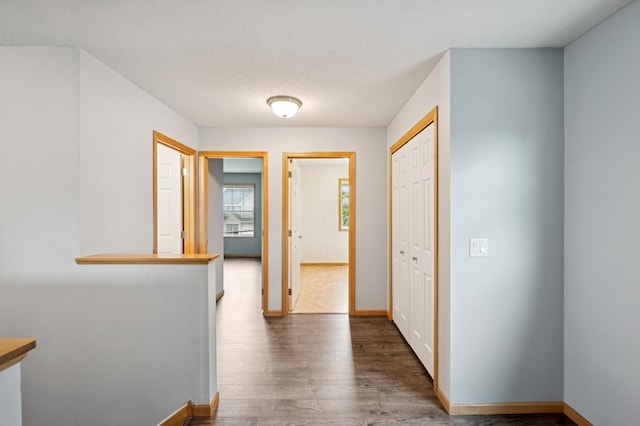 6789 Troy Ln N, Maple Grove, MN 55311 - hallway with wood finished floors and baseboards