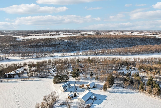 view of snowy aerial view