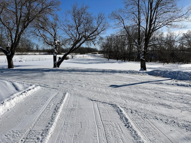 view of yard covered in snow