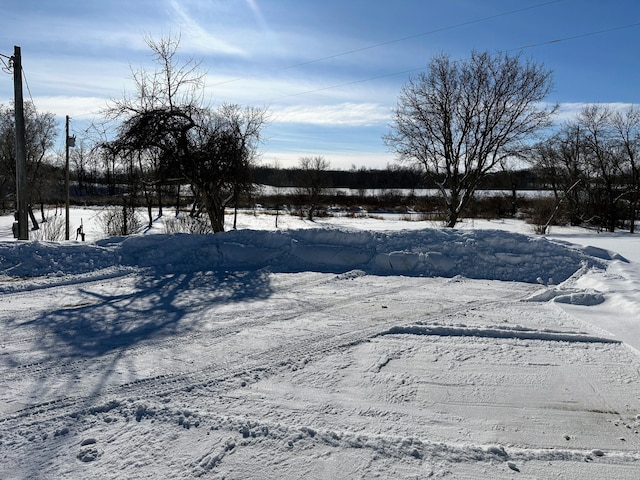 view of yard covered in snow