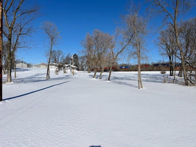 view of yard covered in snow