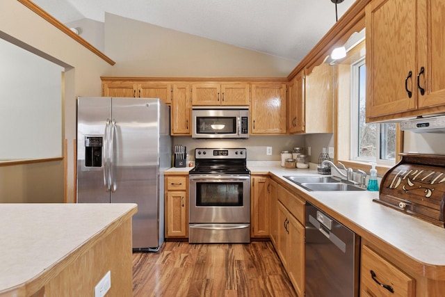 kitchen featuring lofted ceiling, light countertops, appliances with stainless steel finishes, and a sink