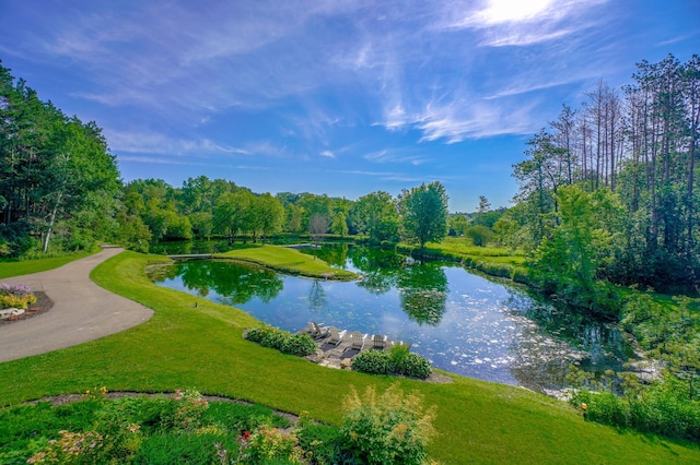 13645 Valley Creek Trl S, Afton, MN 55001 - photo 38