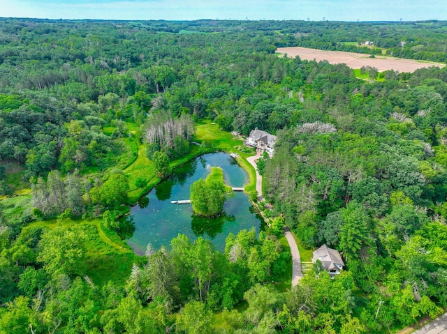 13645 Valley Creek Trl S, Afton, MN 55001 - photo 53