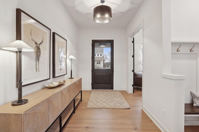 entrance foyer with light hardwood / wood-style flooring