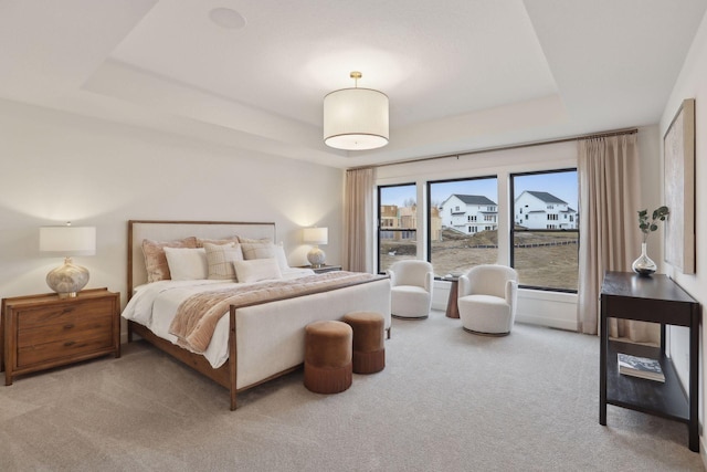 bedroom with a tray ceiling and carpet