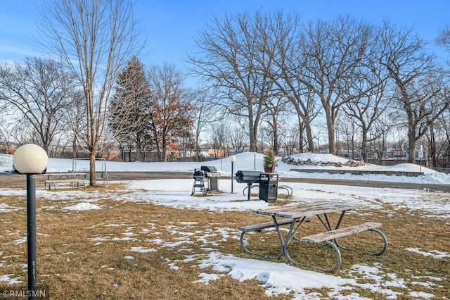 view of snowy yard