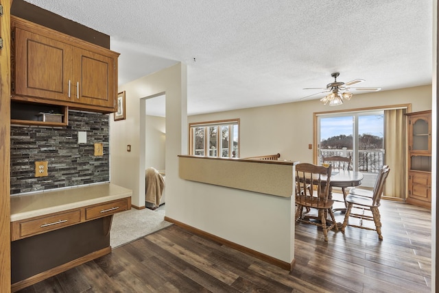 kitchen featuring plenty of natural light, dark hardwood / wood-style floors, and decorative backsplash