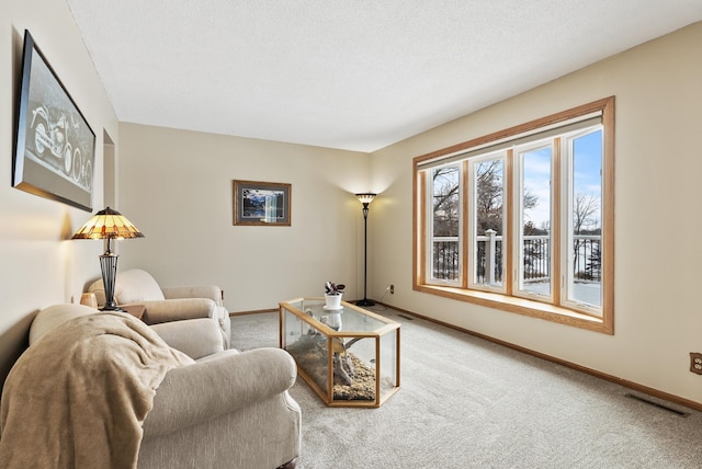 carpeted living room with a textured ceiling