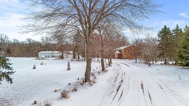 view of snowy yard