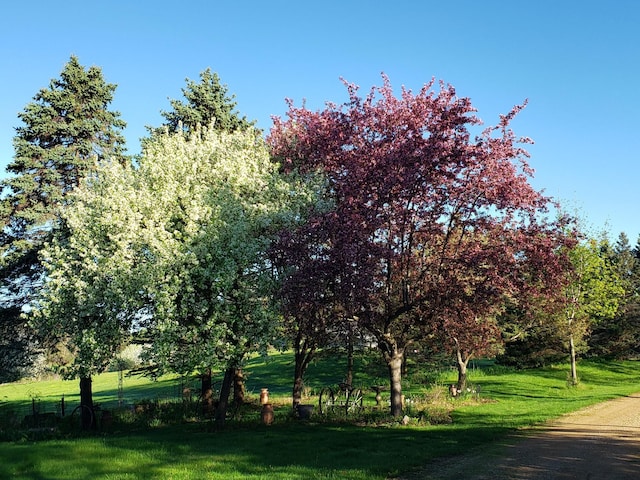 view of home's community featuring a lawn