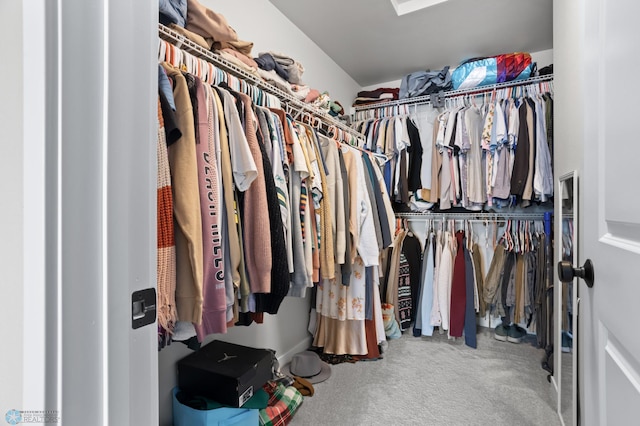 walk in closet featuring carpet