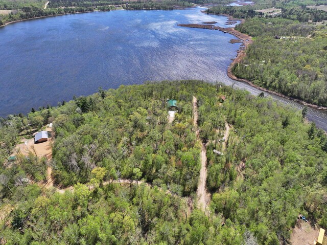 21637 Grand Vista Dr, Nevis, MN 56467 - photo 3