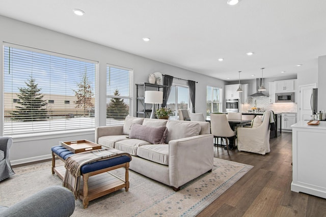 living room featuring dark hardwood / wood-style flooring