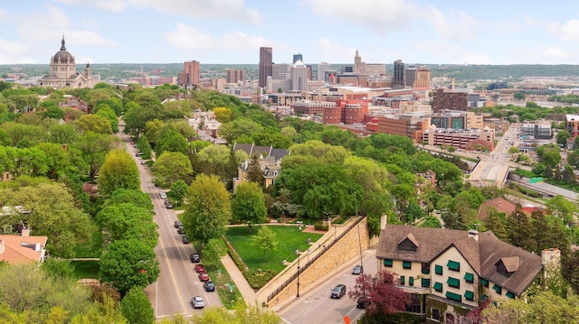 598 Summit Ave Unit 1, Saint Paul, MN 55102 - view of urban area featuring a tree filled landscape