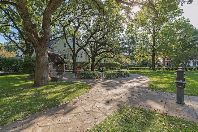 598 Summit Ave Unit 1, Saint Paul, MN 55102 - view of home's community featuring a lawn
