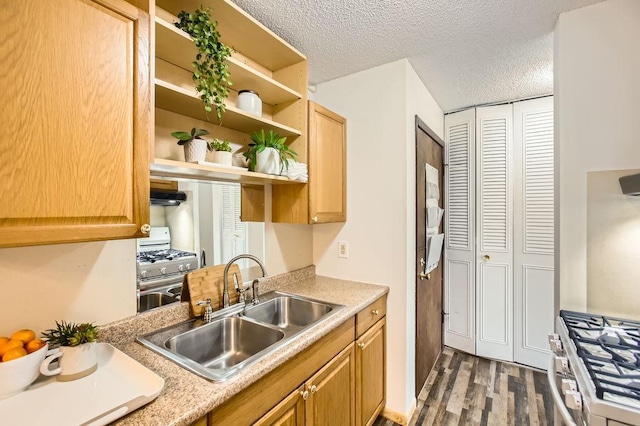 kitchen with gas range, sink, high end stainless steel range, and a textured ceiling