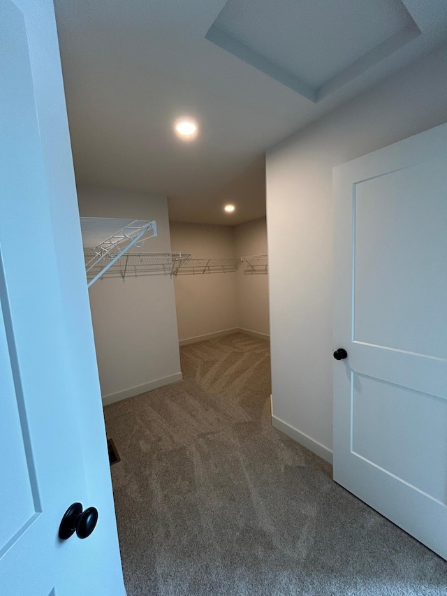 walk in closet with carpet flooring