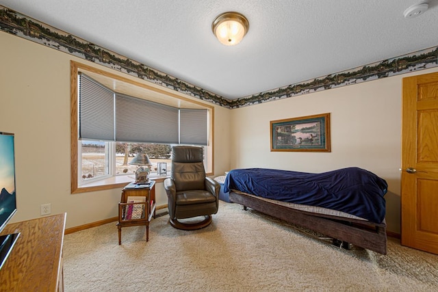 carpeted bedroom with a textured ceiling