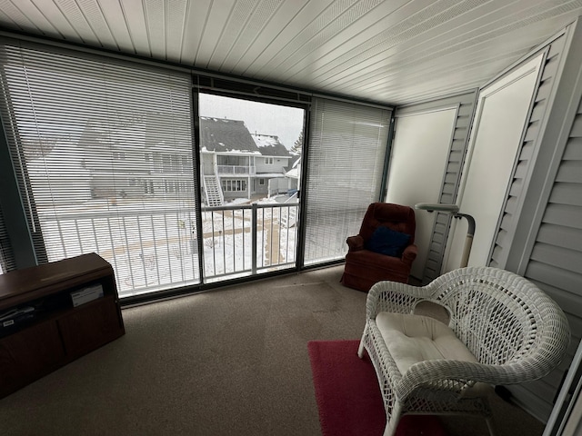 living area featuring carpet flooring