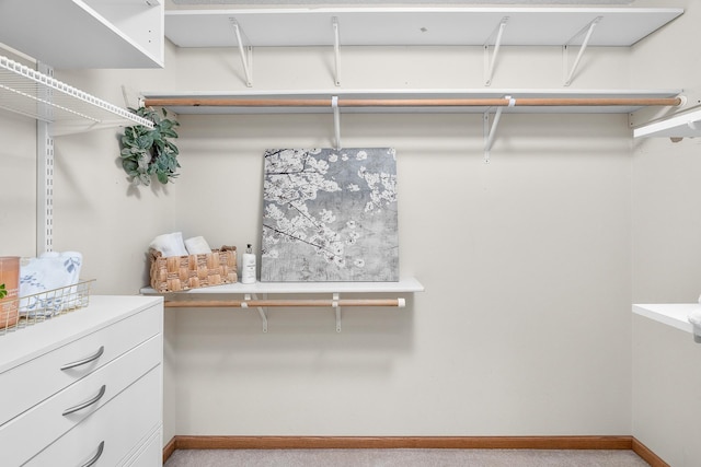 walk in closet featuring light colored carpet