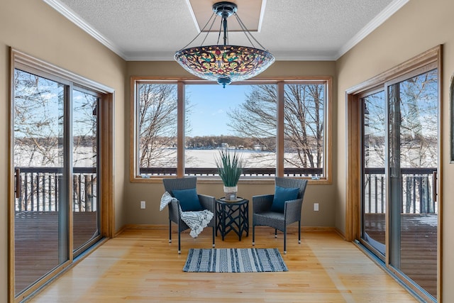 sunroom / solarium featuring healthy amount of natural light and a water view