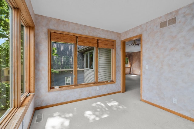 16091 Northwood Rd NW, Prior Lake, MN 55372 - carpeted spare room featuring plenty of natural light and ceiling fan