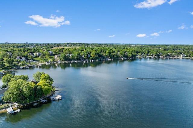 16091 Northwood Rd NW, Prior Lake, MN 55372 - water view with a heavily wooded area