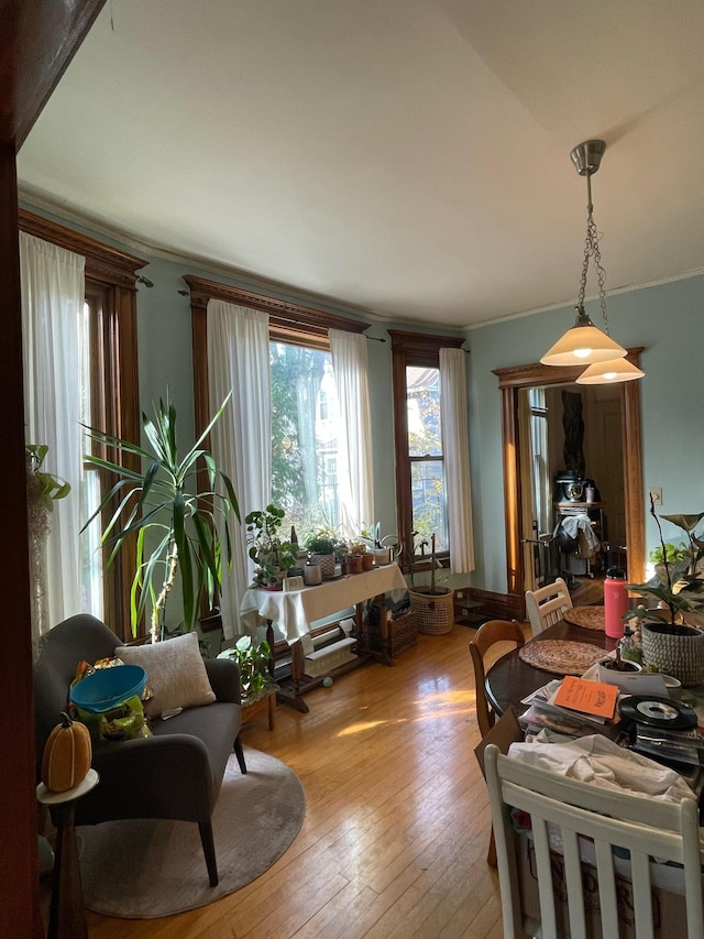 dining space featuring ornamental molding and hardwood / wood-style floors