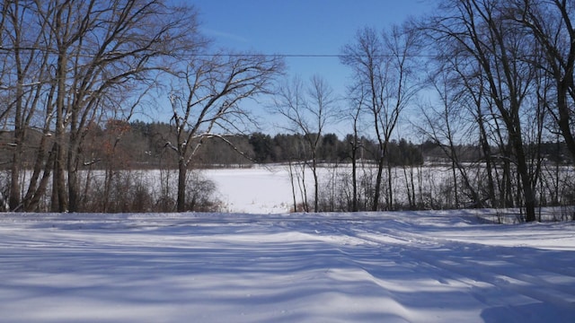 view of snowy yard