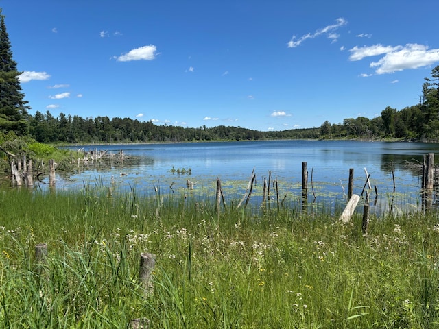 13102 Seaberg Ln, Bagley, MN 56621 - photo 1