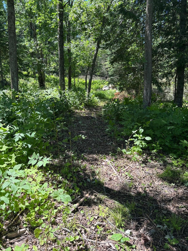 13102 Seaberg Ln, Bagley, MN 56621 - photo 11