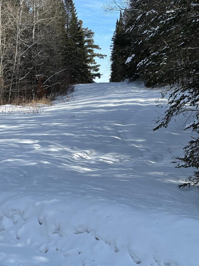 13102 Seaberg Ln, Bagley, MN 56621 - photo 3