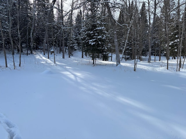 13102 Seaberg Ln, Bagley, MN 56621 - photo 10
