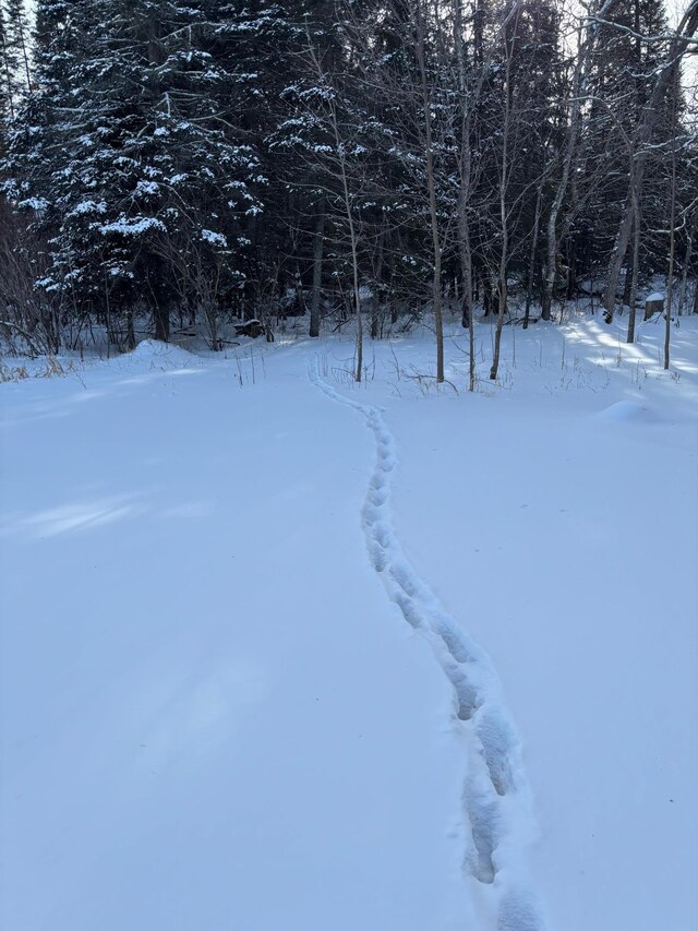 13102 Seaberg Ln, Bagley, MN 56621 - photo 21